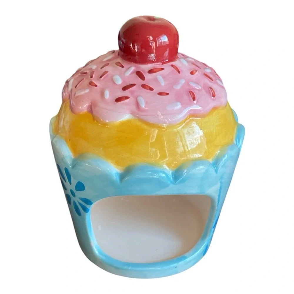 Pier One Imports Sponge Holder Cupcake‎ with Sprinkles Cherry Vibrant Colors